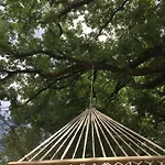 Bed and Breakfast Giogliano 3*