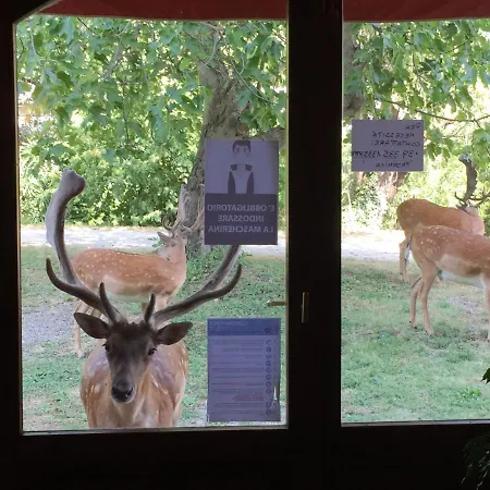 Bed and breakfast Giogliano Radicondoli