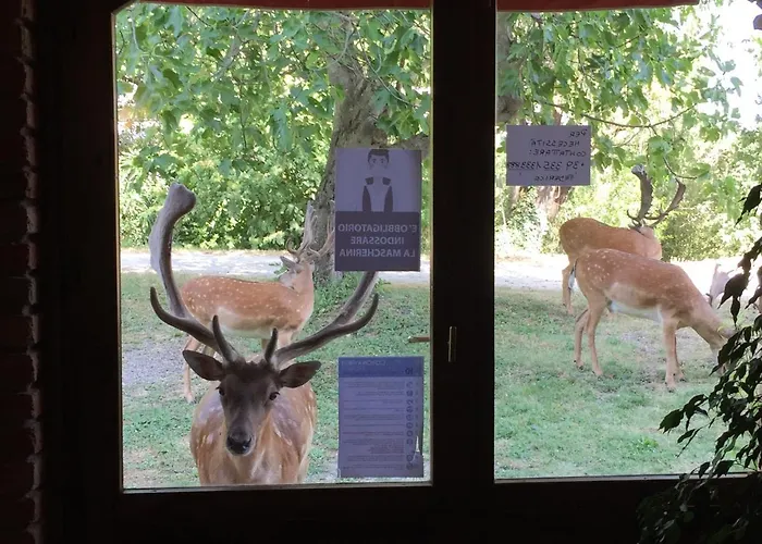 Bed & Breakfast Giogliano Radicondoli